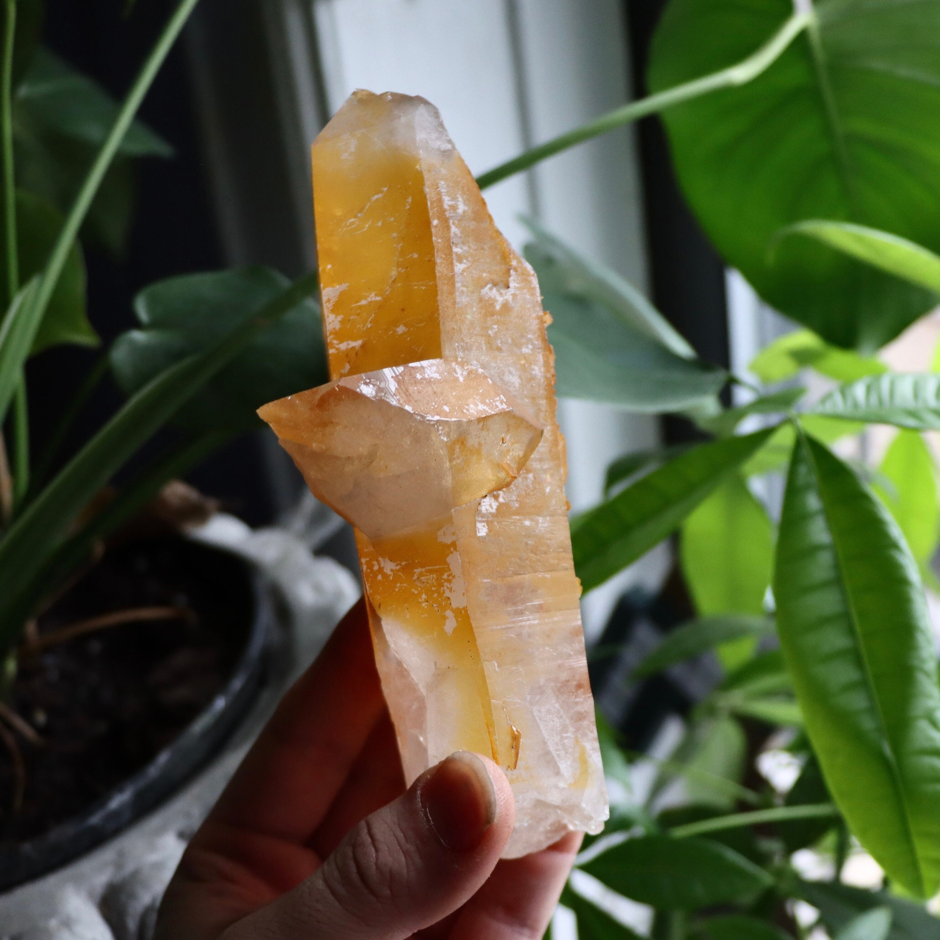 Golden Healer Quartz Crystal | Natural Quartz Point