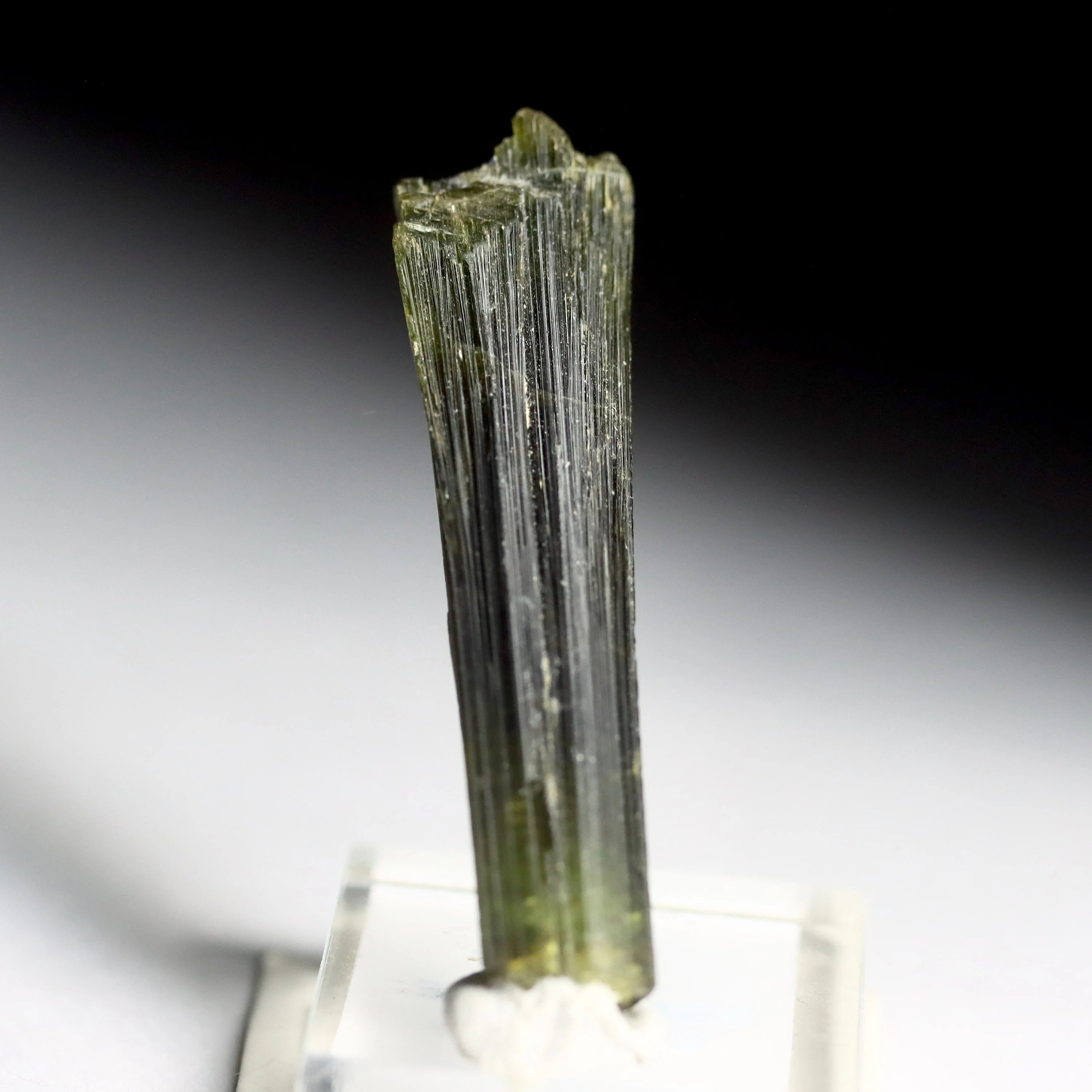 Green Catseye Tourmaline Crystal | Natural Green Tourmaline from Minas Gerais