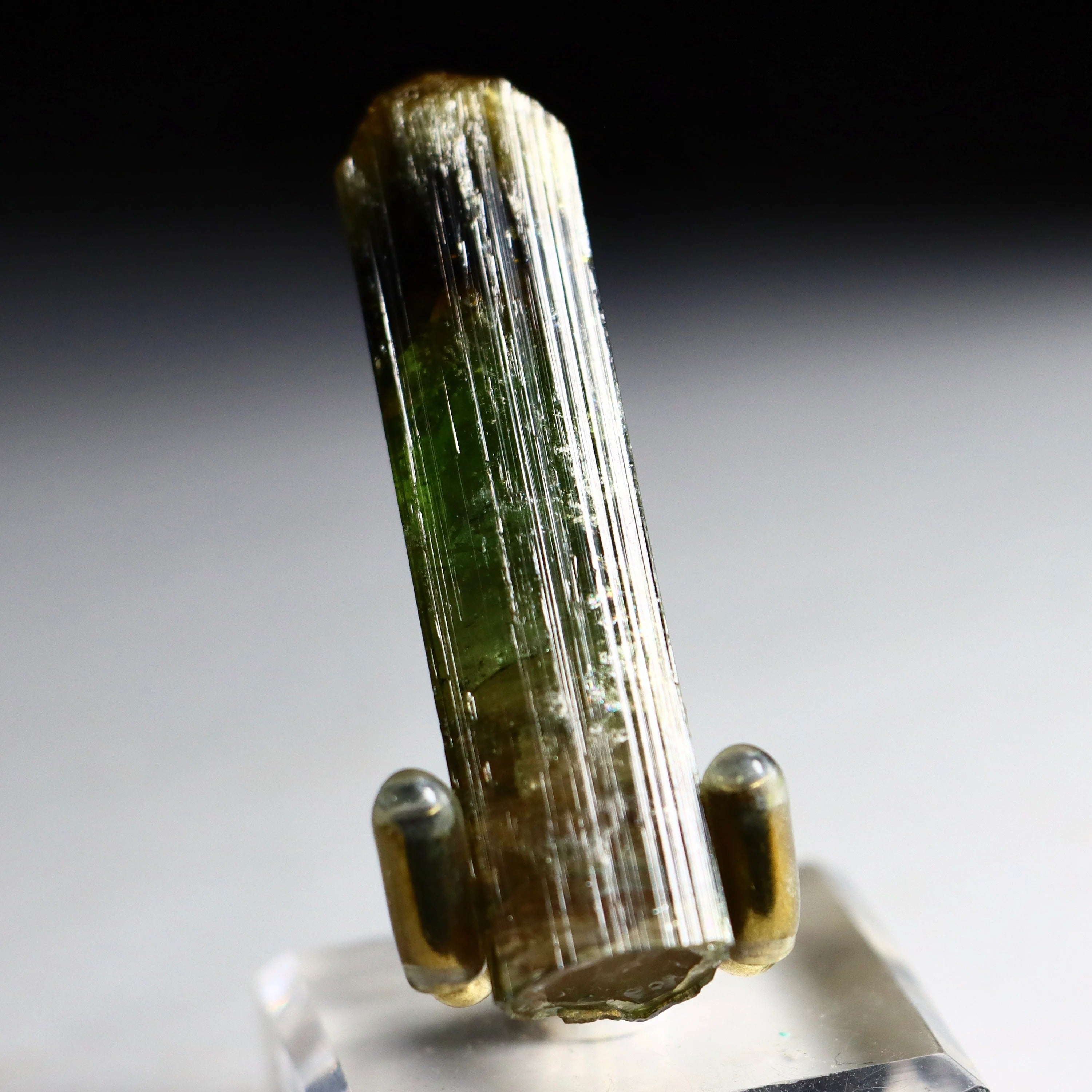 Watermelon Tourmaline Pencil Crystal | Natural Pink & Green Tourmaline on Quartz from Minas Gerais, Brazil