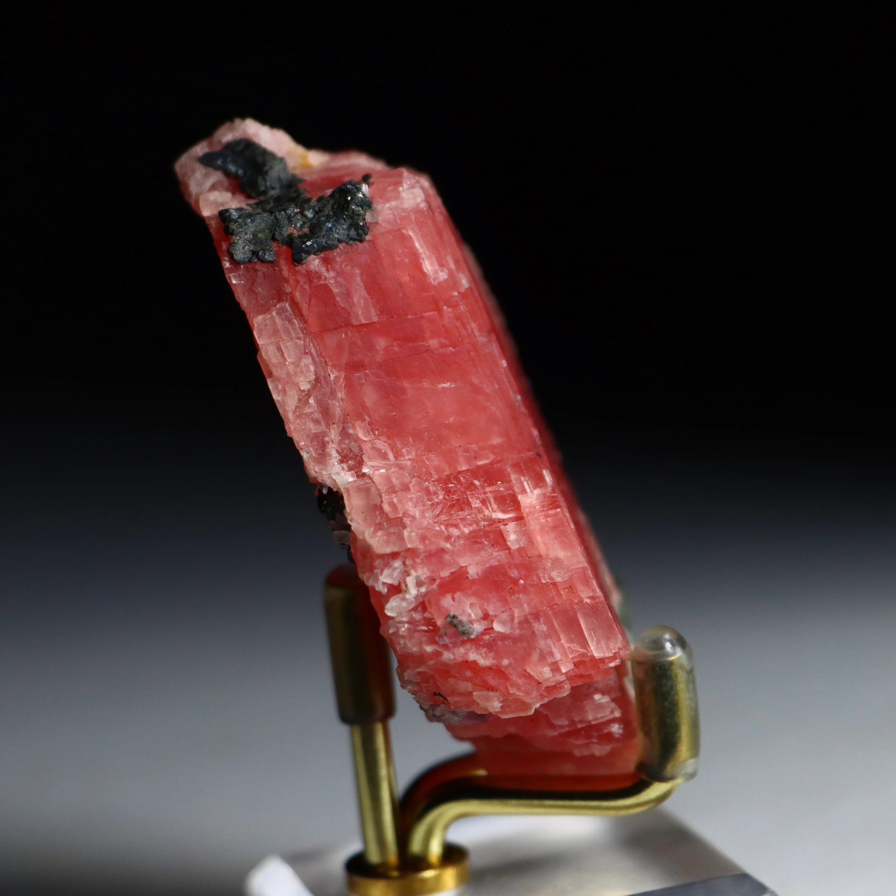 Sweet Home Mine Rhodochrosite with Fluorite, Quartz, Tetrahedrite & Pyrite | Rare Colorado Mineral Specimen