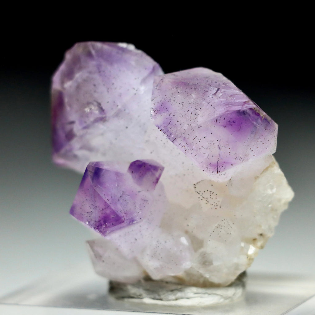 Japan Law Twin Amethyst Scepter | Natural Amethyst Quartz Crystal from Marovaolavo Mine, Madagascar