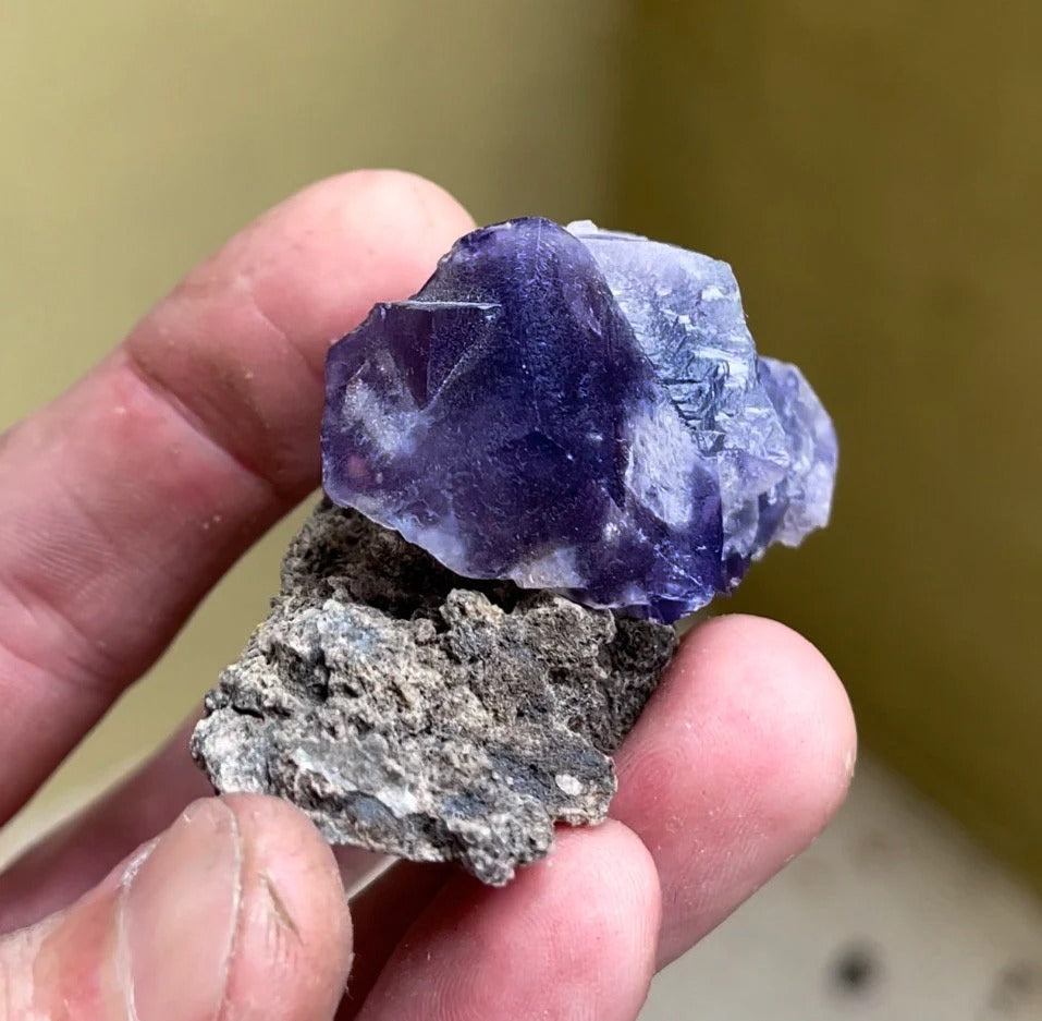 Color Changing Fluorite on Matrix | Rogerley Mine