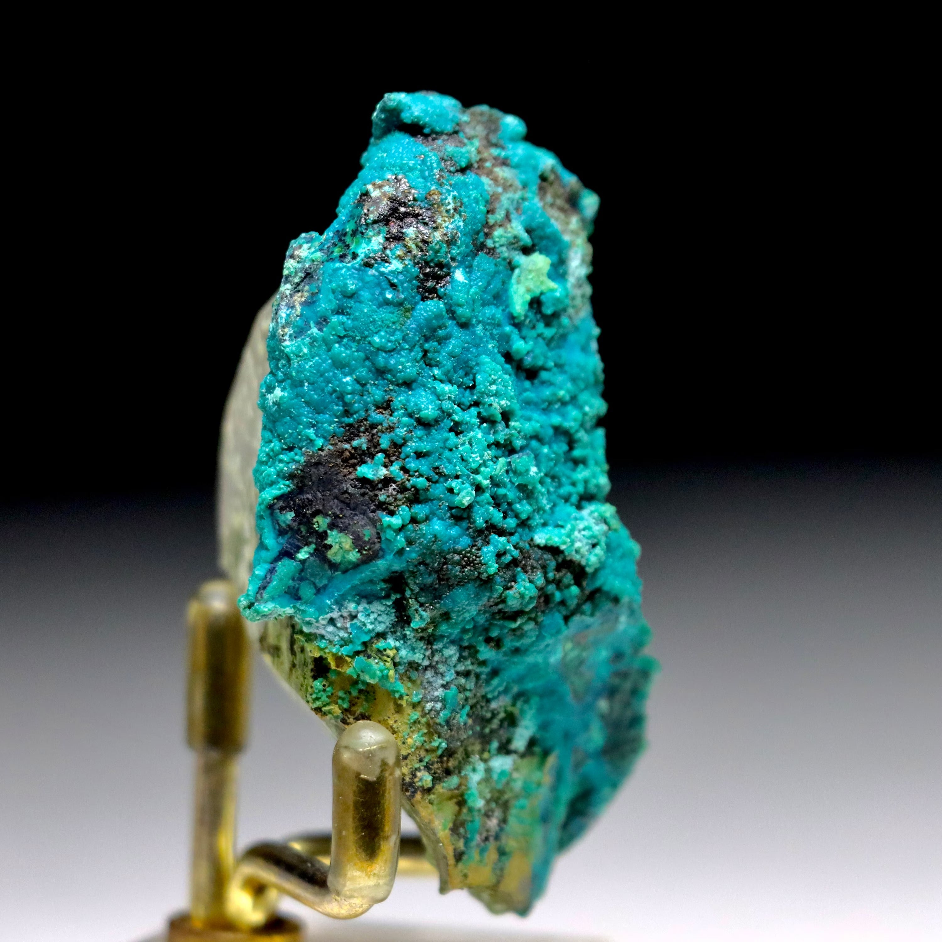 Chrysocolla after Calcite w/ Chrysocolla on Quartz w/ Malachite