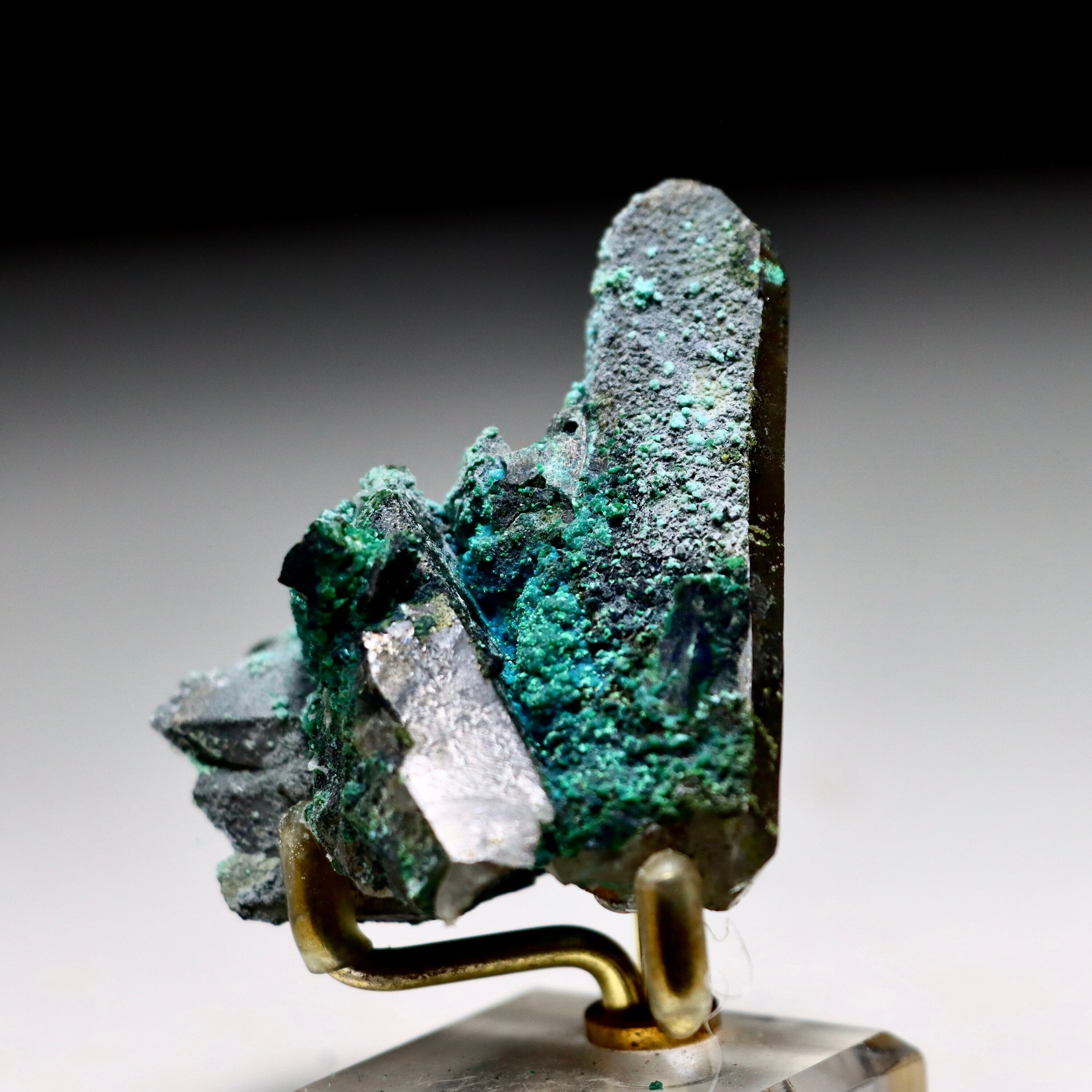 Botryoidal Chrysocolla on Quartz