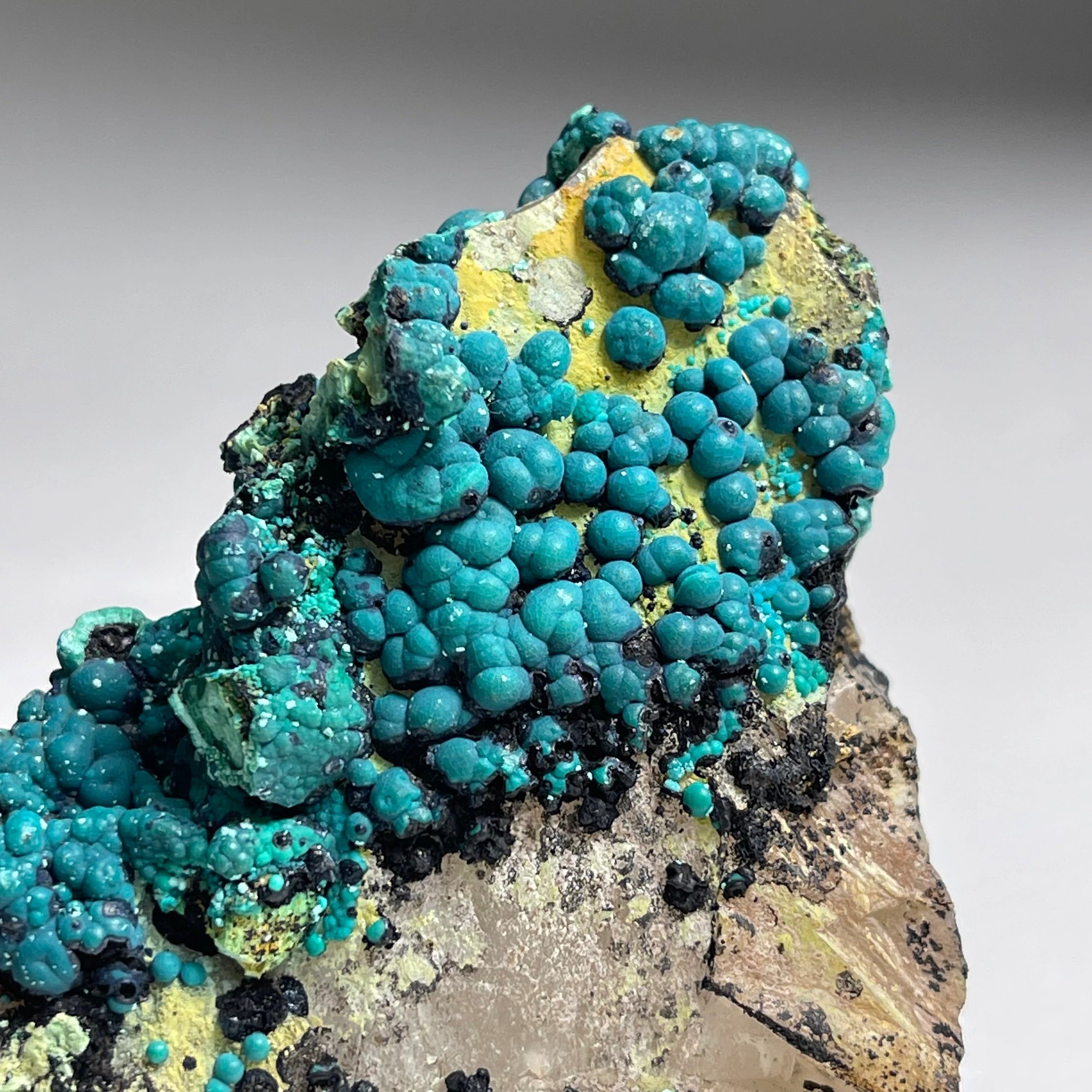 Botryoidal Chrysocolla on Quartz | Natural Mineral Specimen from Tentadora Mine, Peru