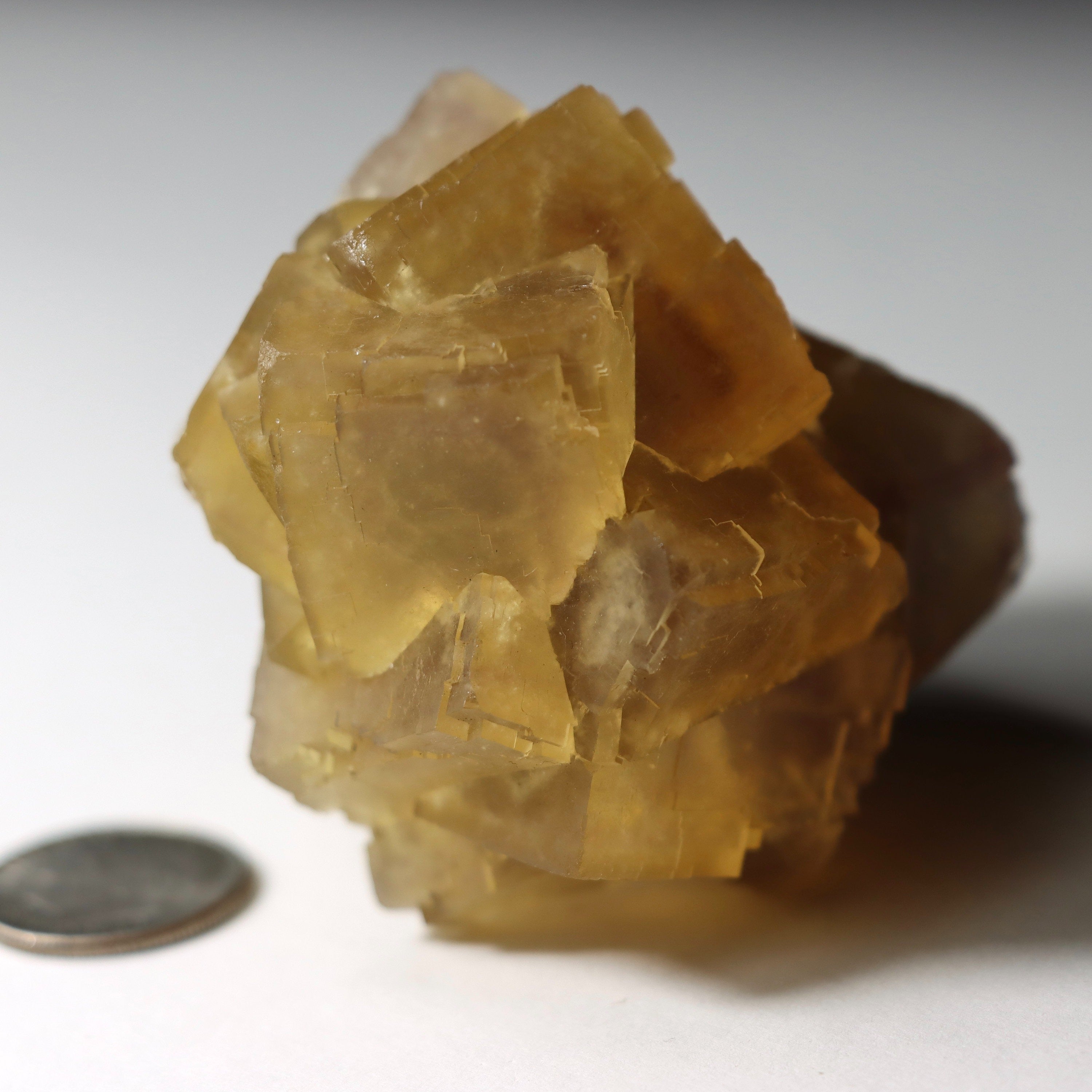 Yellow Fluorite on Matrix | Anhui China