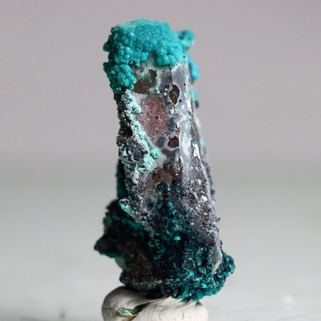 Azurite on Botryoidal Chrysocolla on Quartz