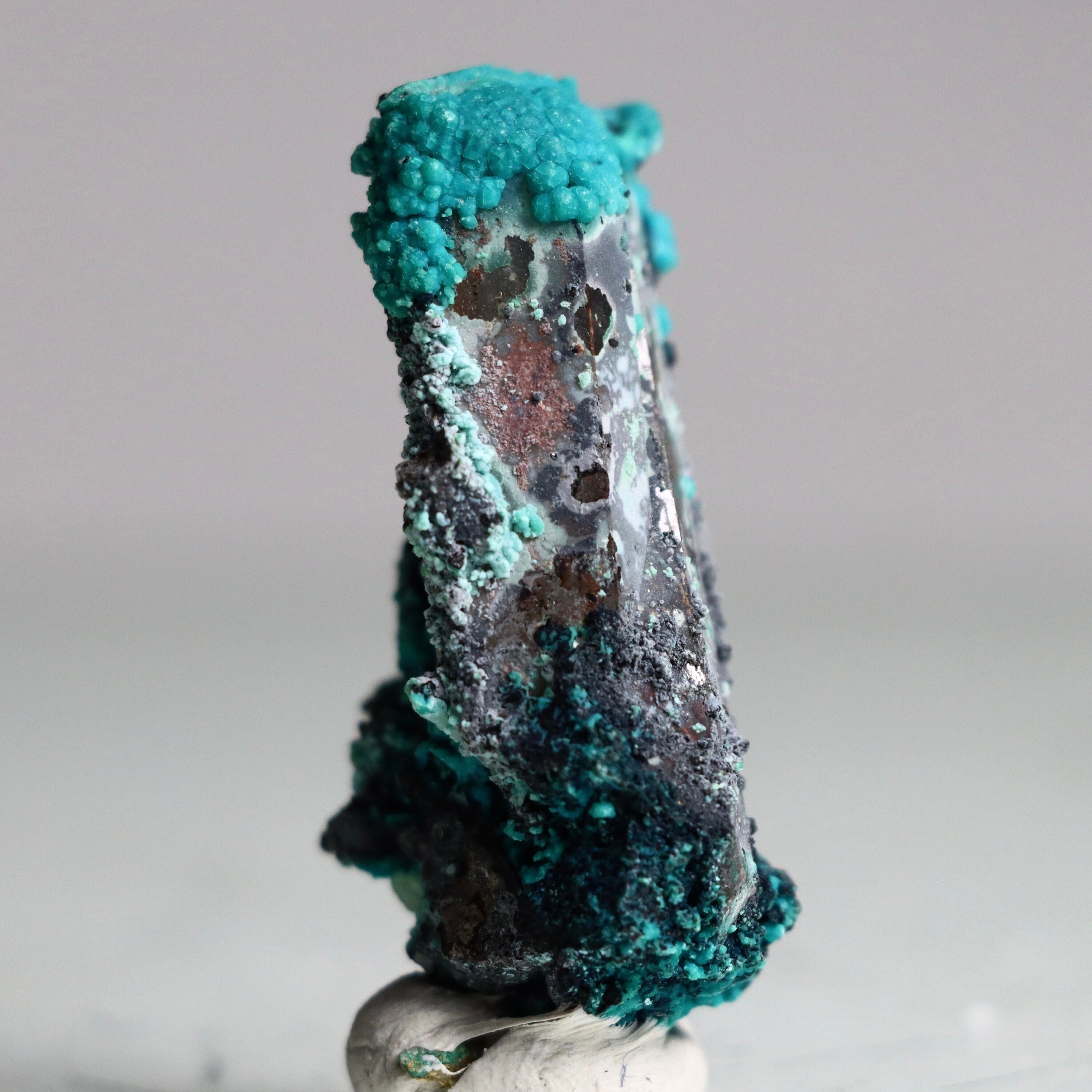 Azurite on Botryoidal Chrysocolla on Quartz