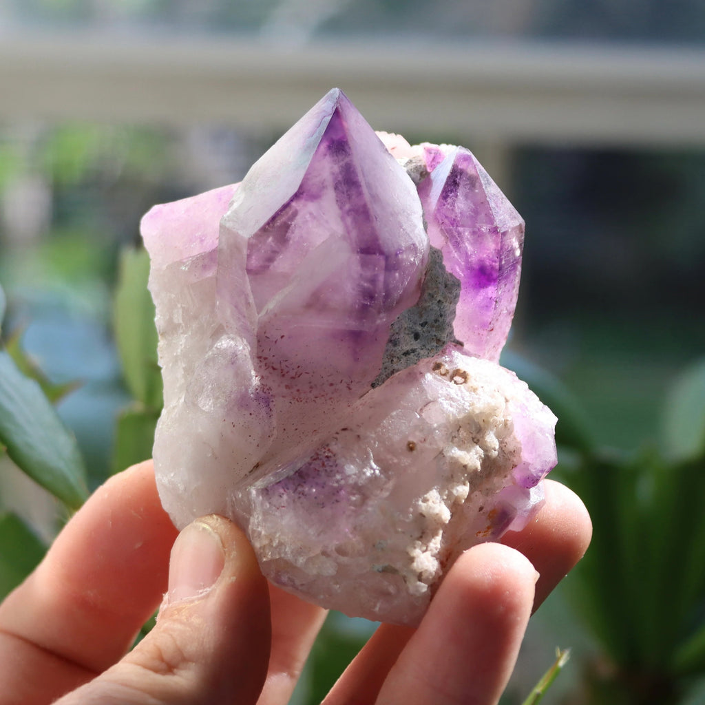 Phantom Brandberg Amethyst on Matrix | Namibia
