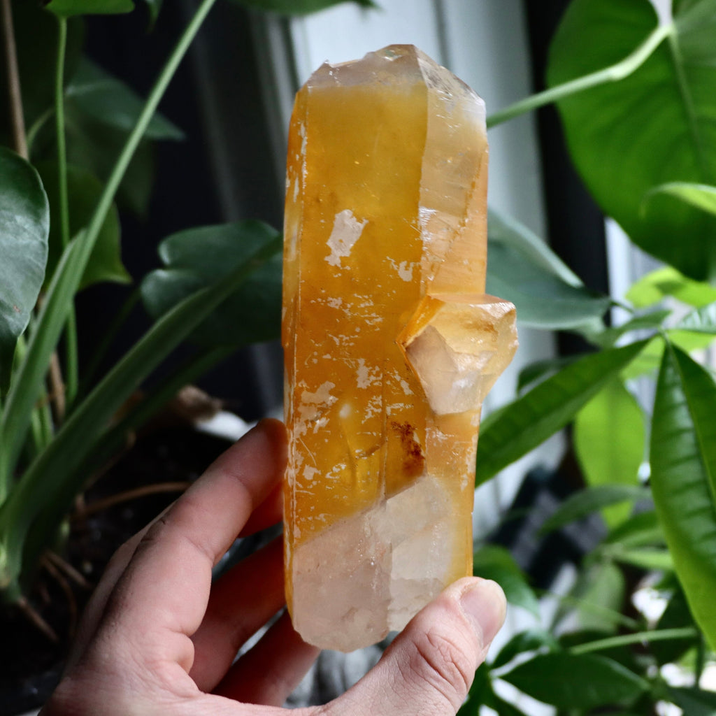 Golden Healer Quartz Crystal | Natural Quartz Point
