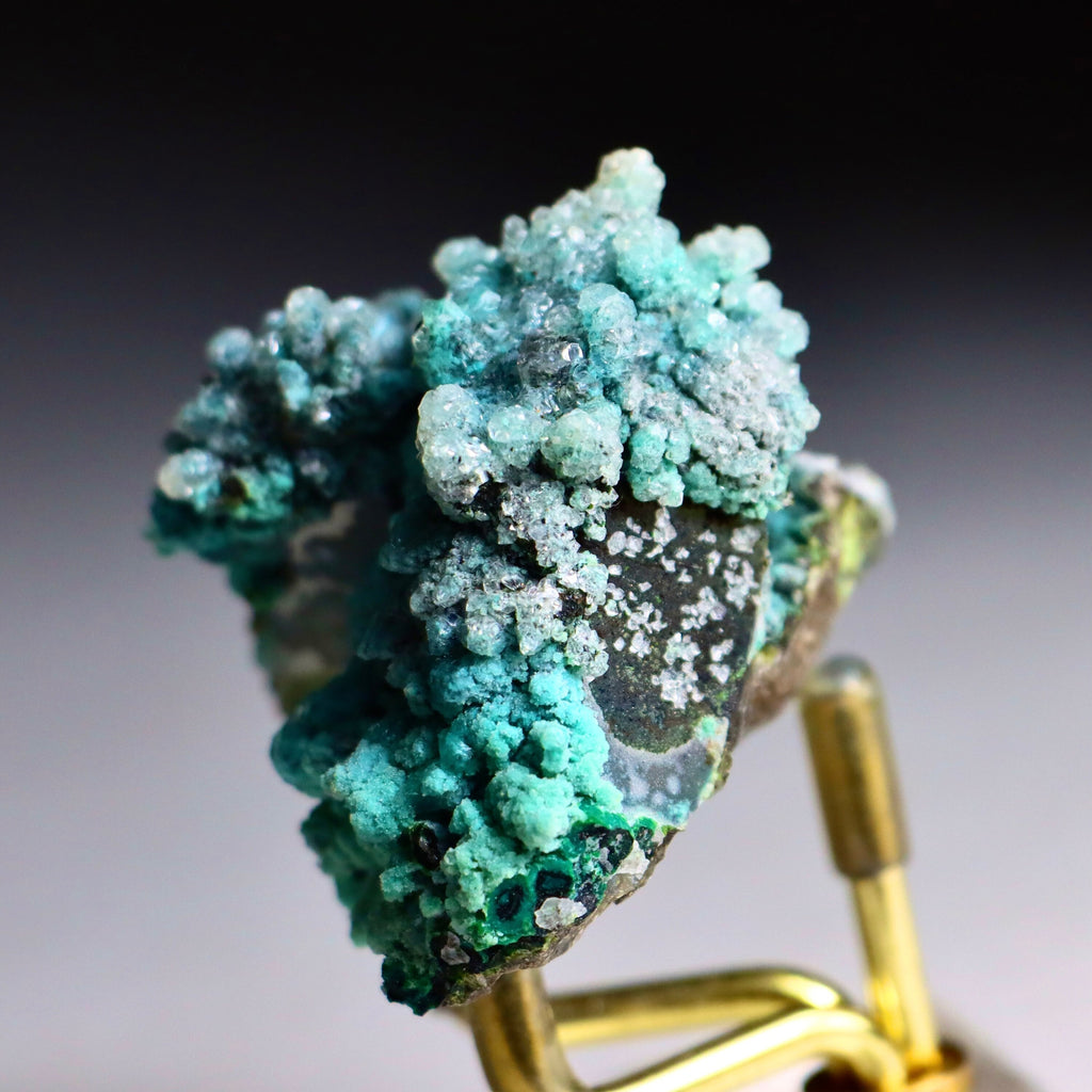 Chrysocolla on Quartz with Malachite