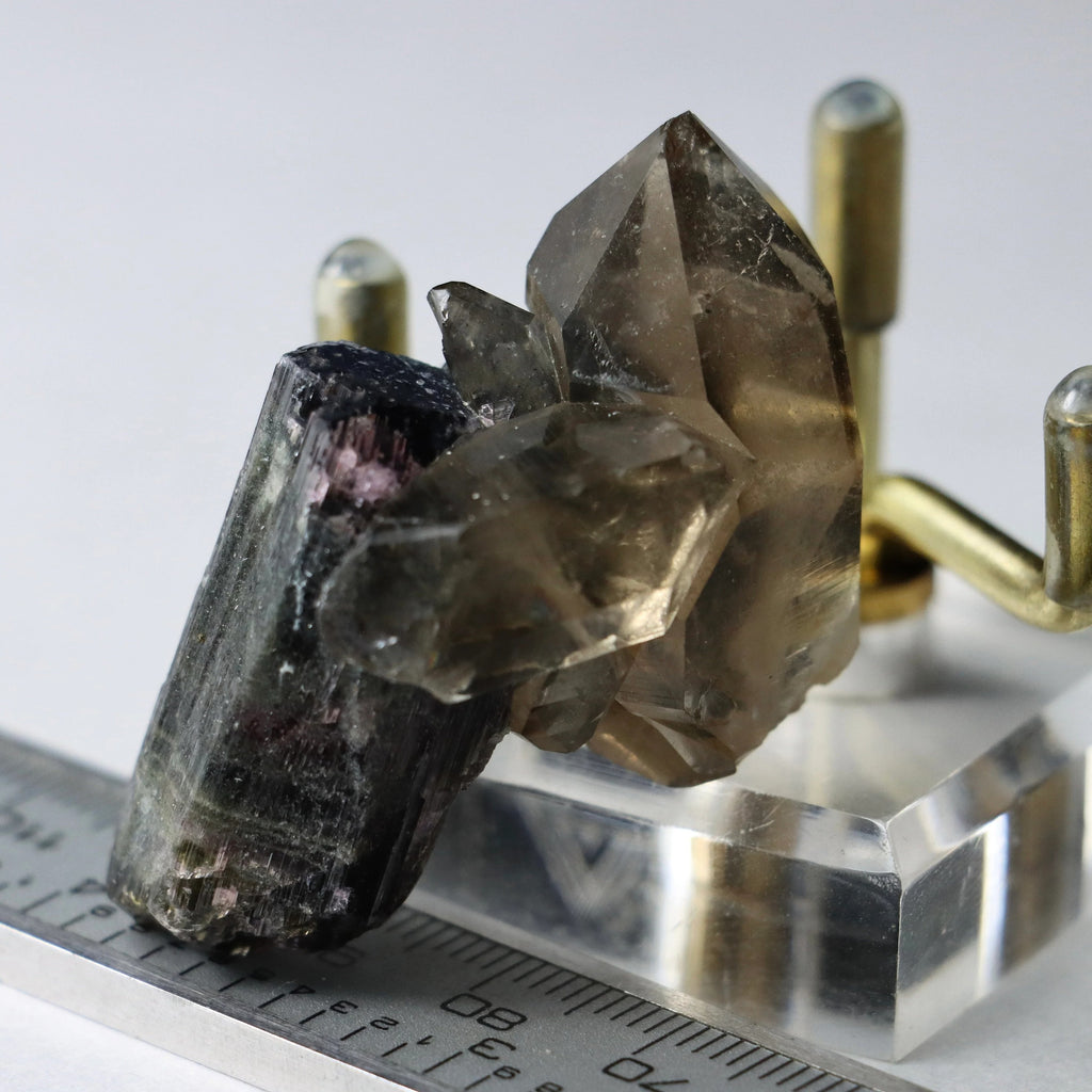 Liddicoatite Tourmaline with Smoky Quartz | Madagascar