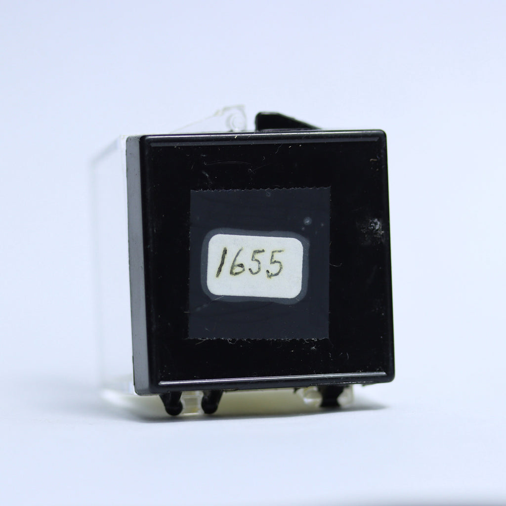 High Grade Moldavite Specimen