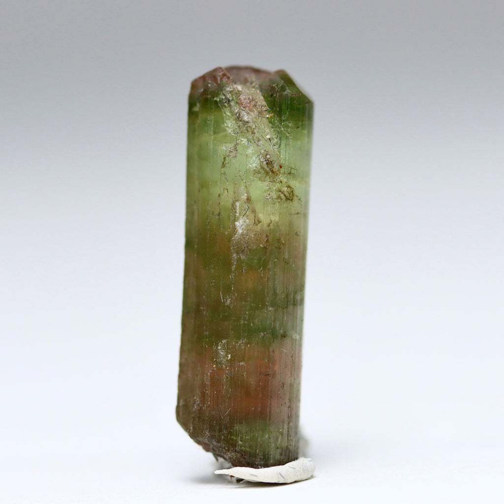Catseye Watermelon Tourmaline Crystal