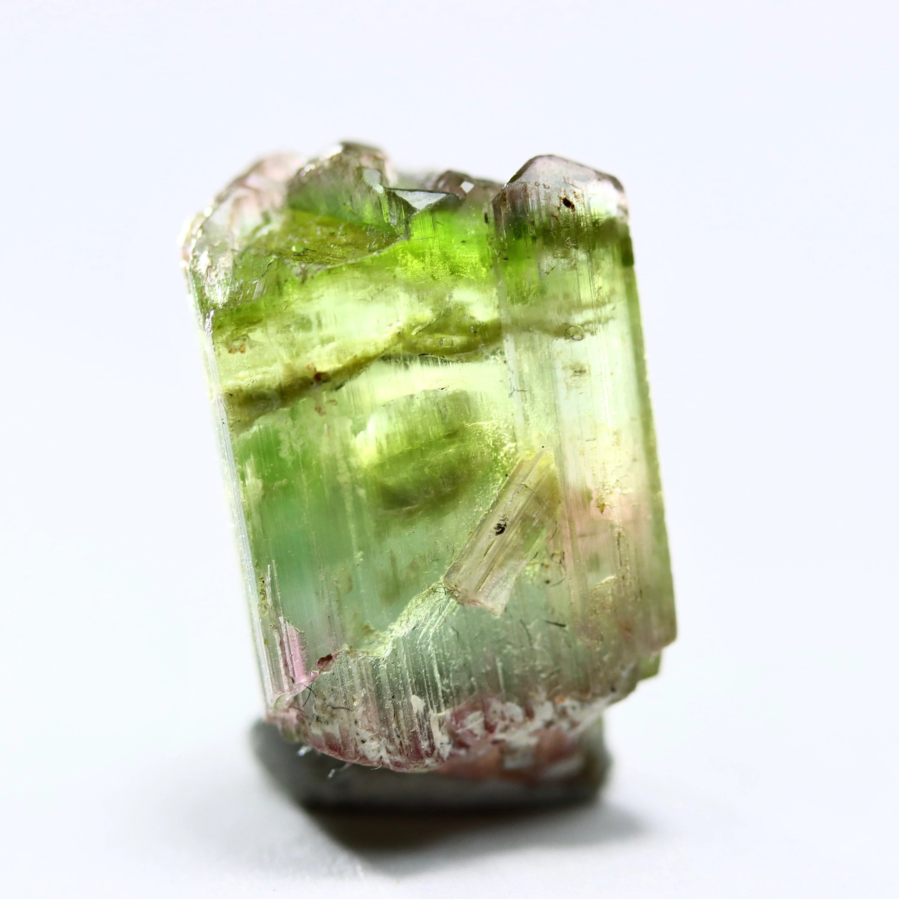Catseye Watermelon Tourmaline Crystal | Green & Pink Tourmaline from Brazil