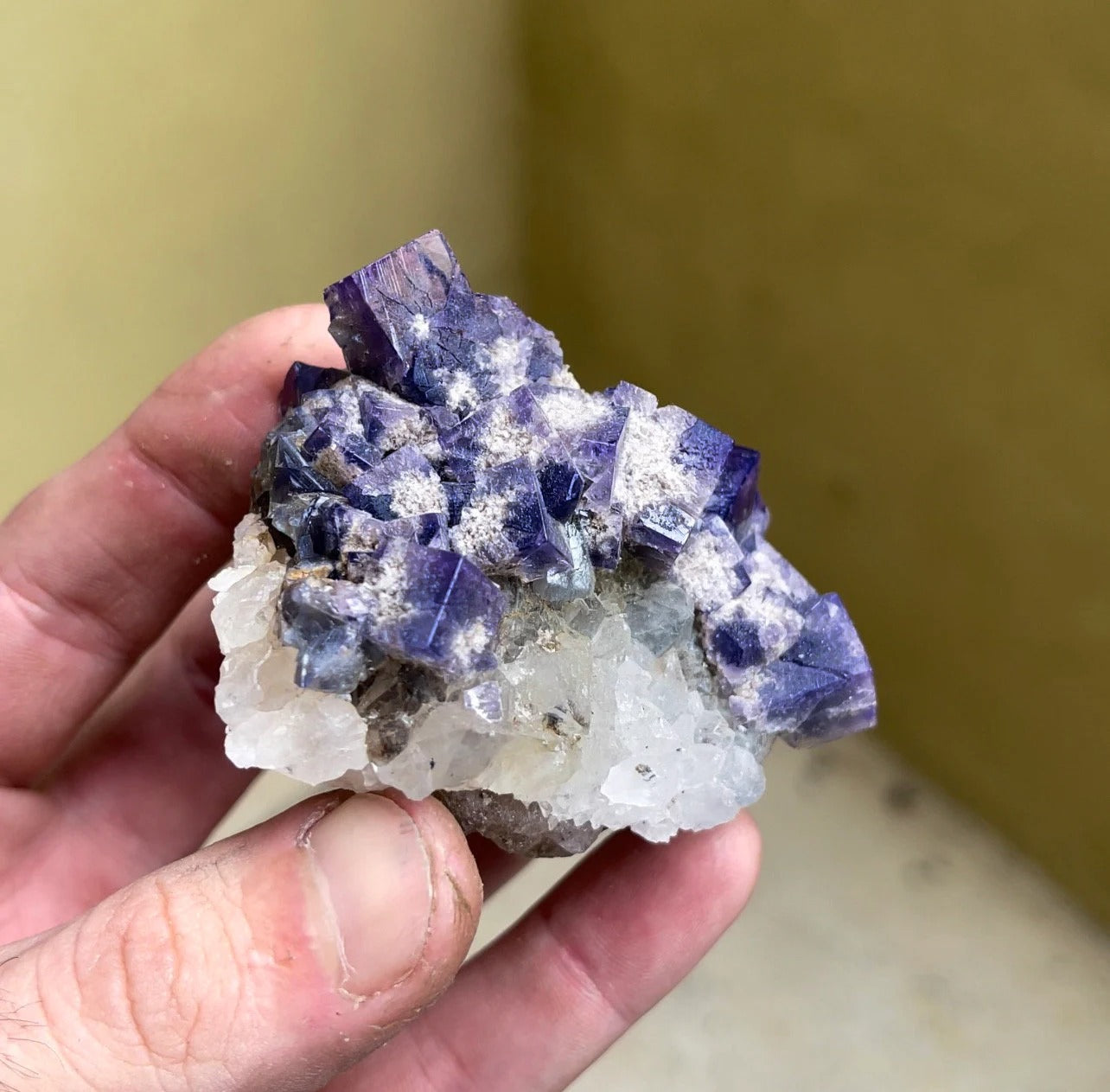 Color Changing Fluorite with Quartz | Rogerley Mine