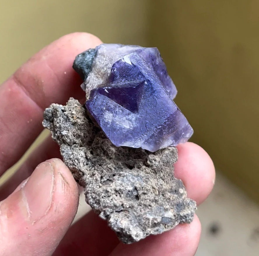 Color Changing Fluorite on Matrix | Rogerley Mine