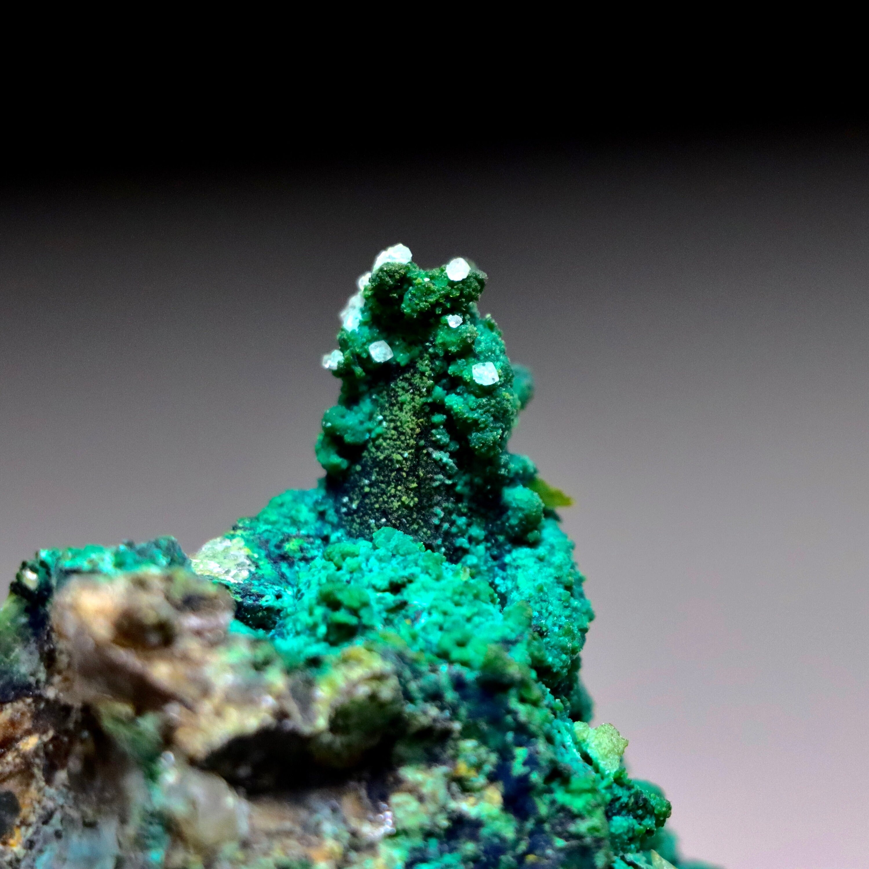 Chrysocolla after Calcite on Quartz with Malachite | Mineral Specimen