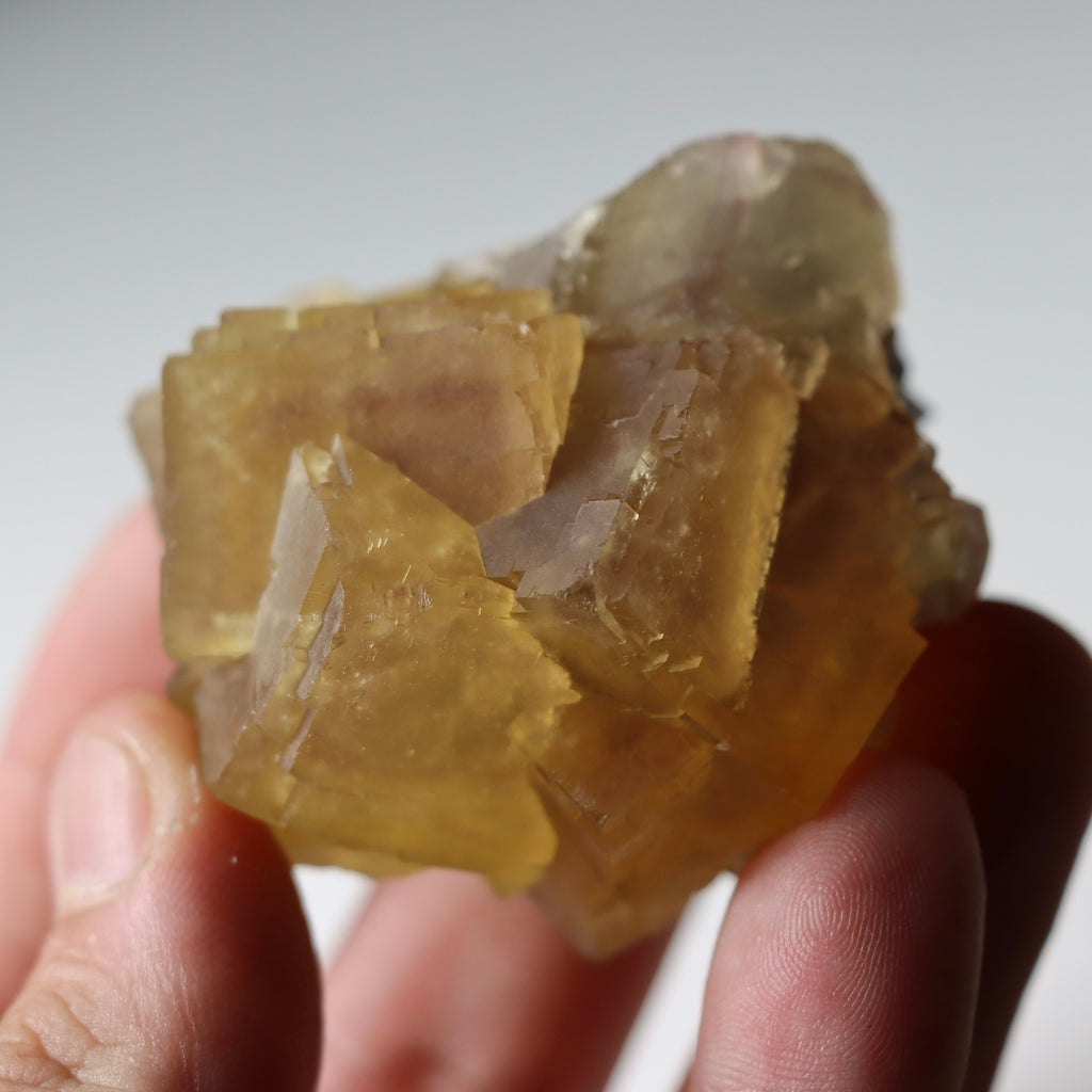 Yellow Fluorite on Matrix | Anhui China