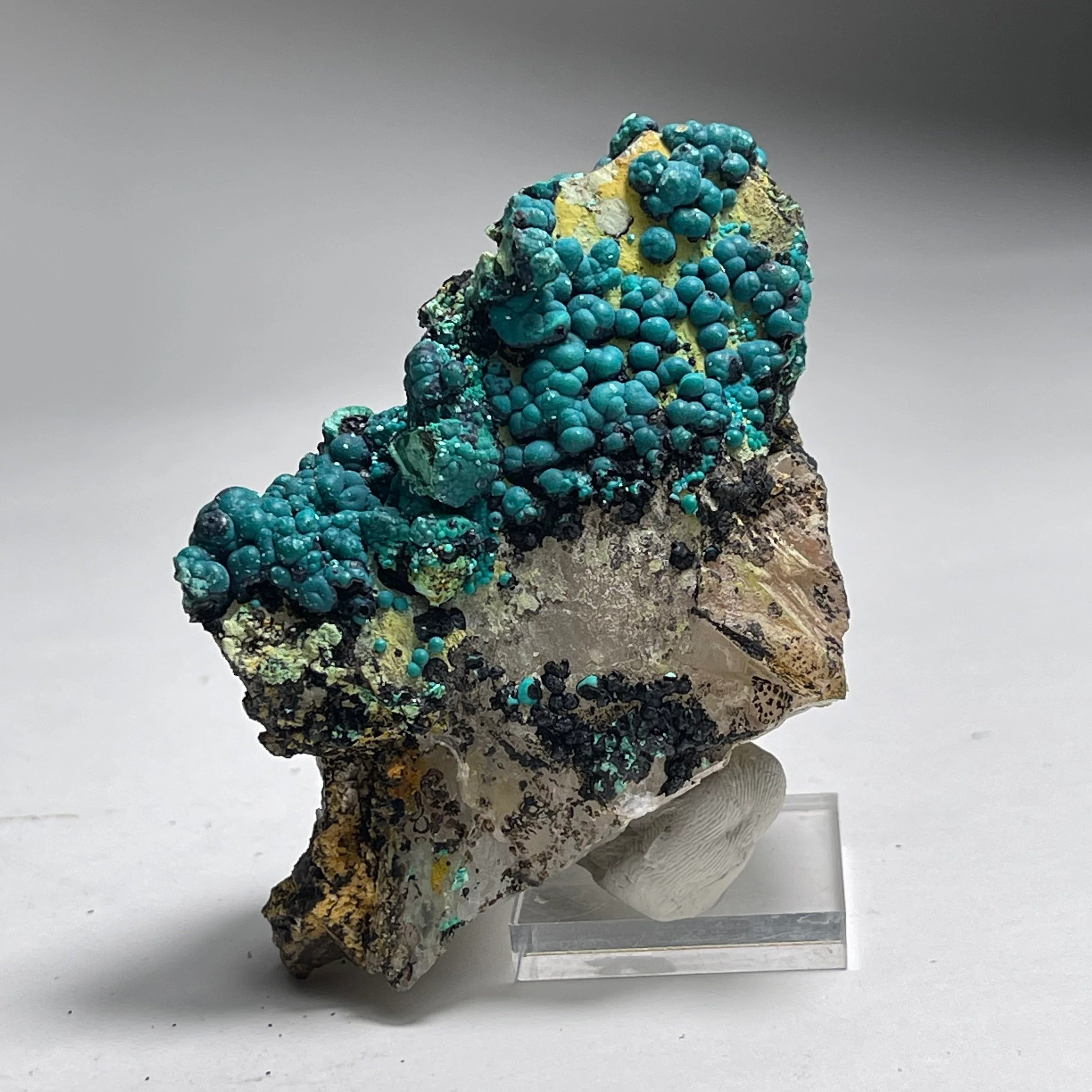 Botryoidal Chrysocolla on Quartz | Natural Mineral Specimen from Tentadora Mine, Peru