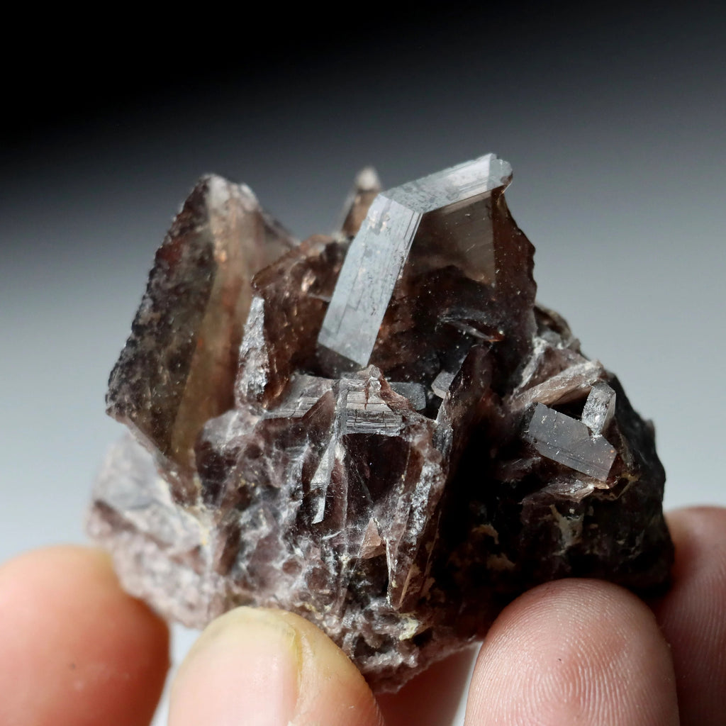 Axinite Epidote Tourmaline Multi-Mineral Specimen