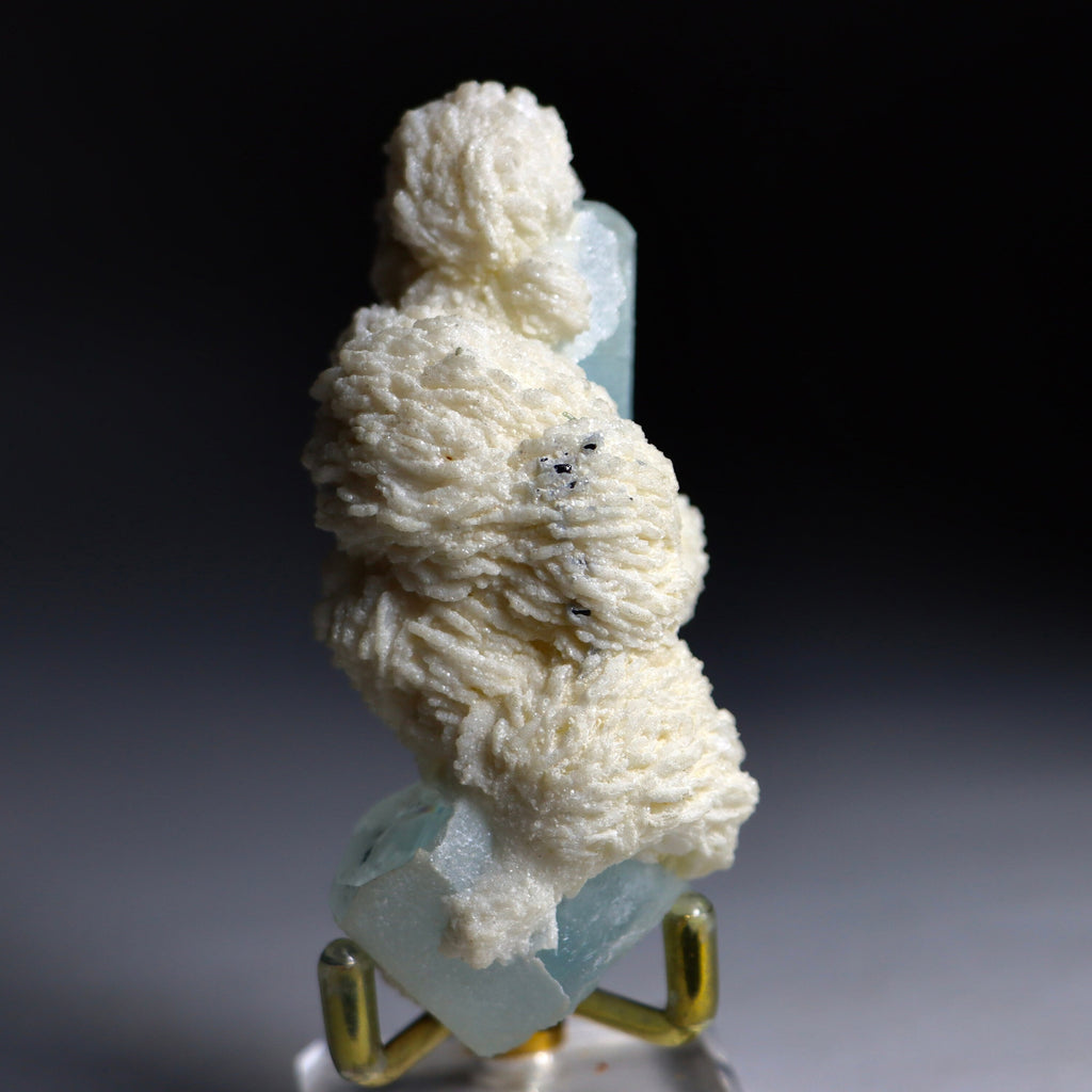 Aquamarine Crystal in Albite Rosettes with Black Tourmaline | Natural Mineral Specimen from Shigar Valley, Pakistan