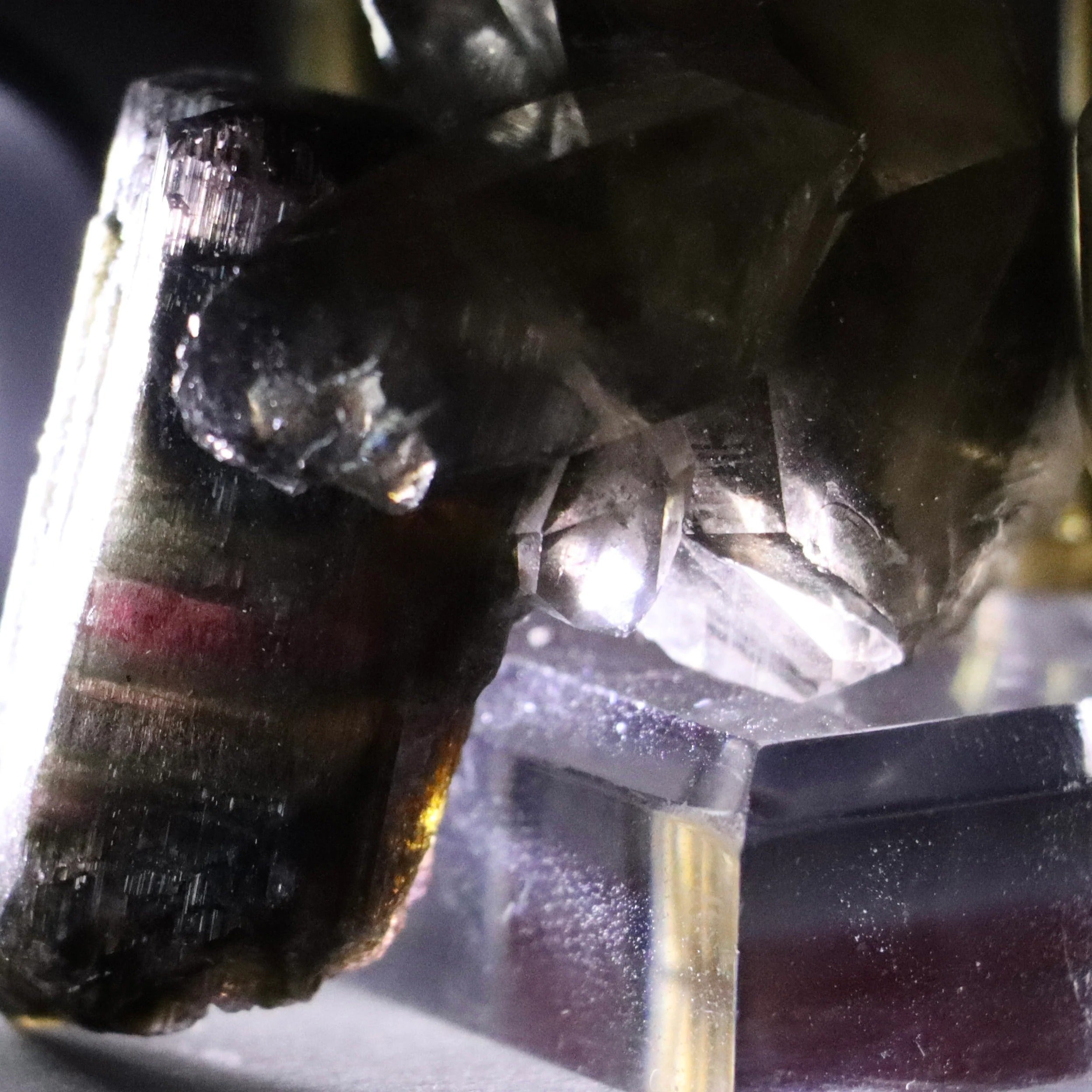 Liddicoatite Tourmaline with Smoky Quartz | Madagascar