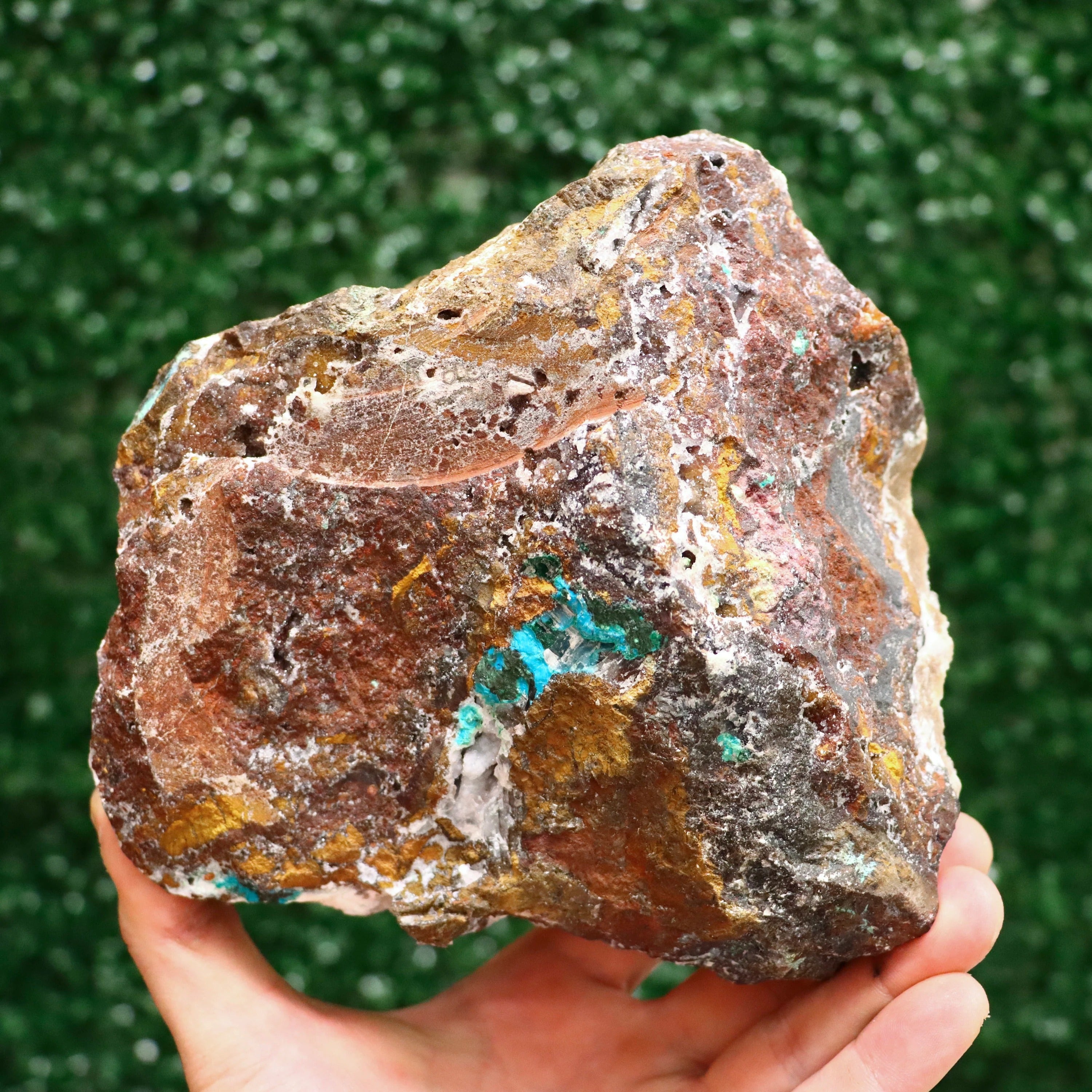 Druzy Quartz & Calcite on Chrysocolla and Malachite | Fine Mineral Specimen from Lily Mine, Peru