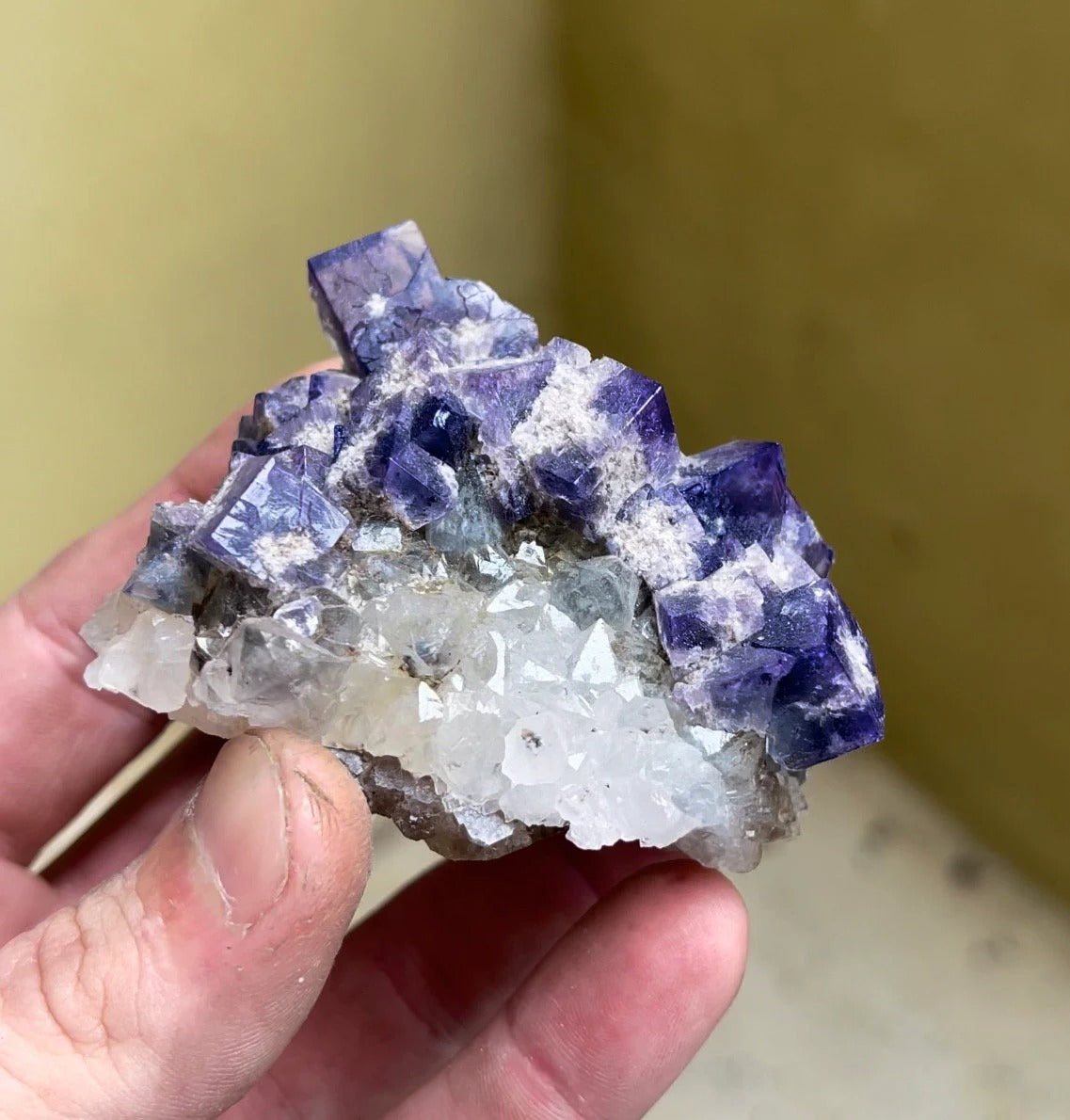 Color Changing Fluorite with Quartz | Rogerley Mine