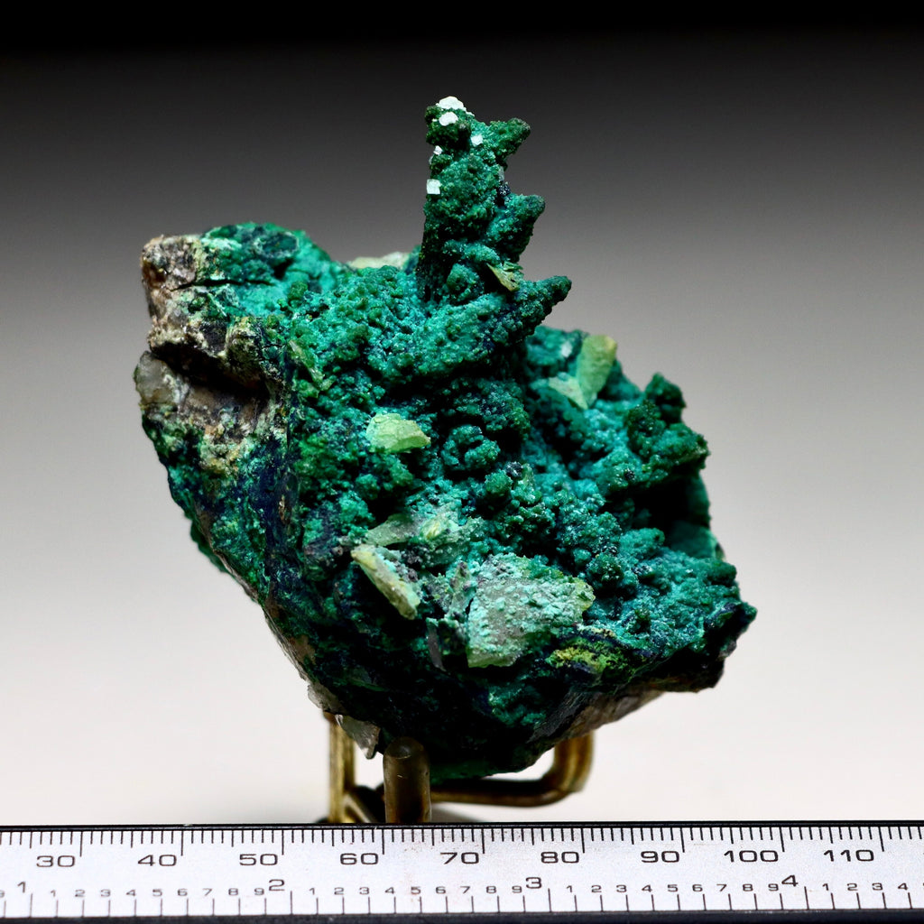 Chrysocolla after Calcite on Quartz with Malachite | Mineral Specimen