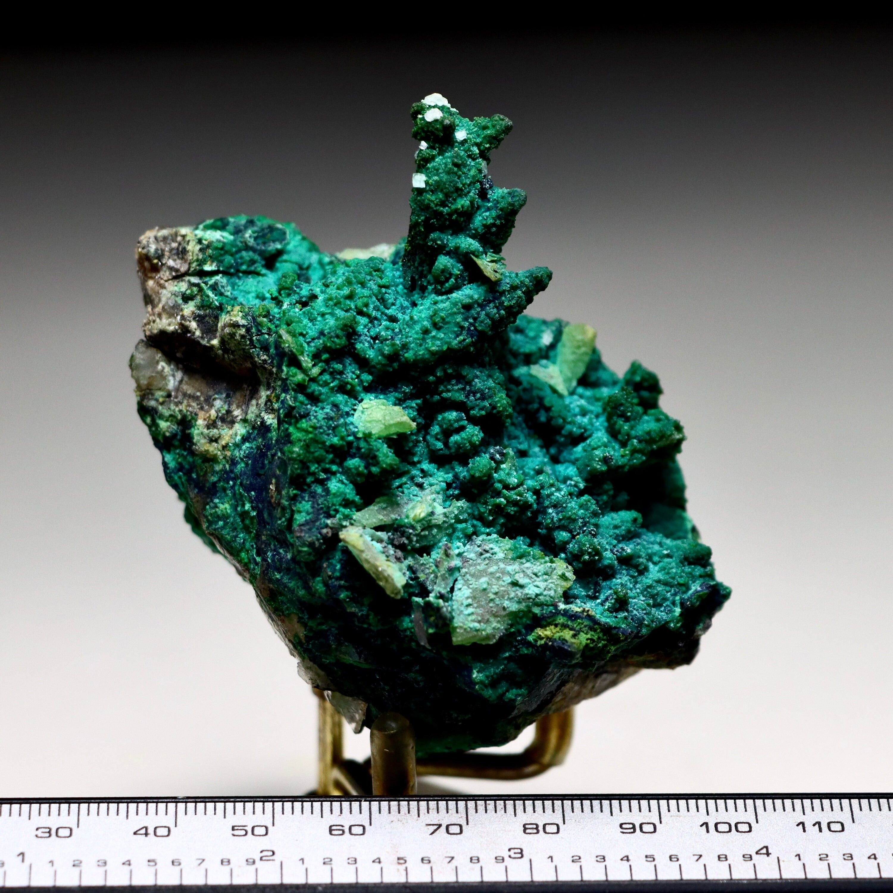 Chrysocolla after Calcite on Quartz with Malachite | Mineral Specimen