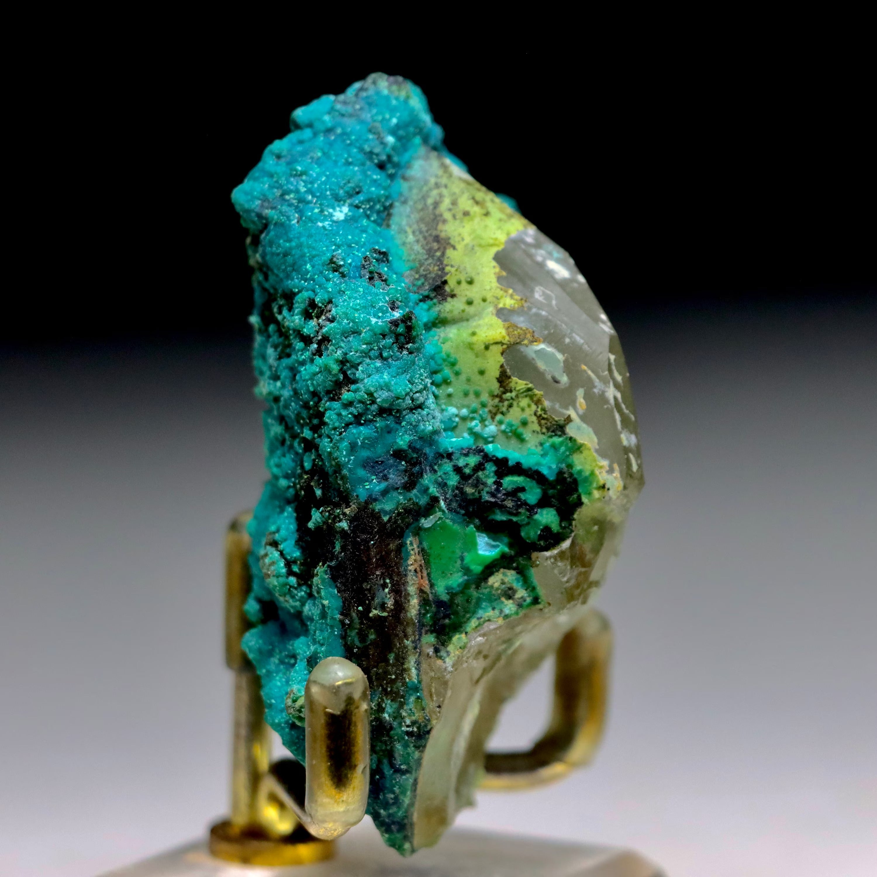 Chrysocolla after Calcite w/ Chrysocolla on Quartz w/ Malachite