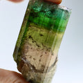 Natural Gem-Quality Rainbow Tourmaline Crystal | Pink Tourmaline Mineral Specimen from Minas Gerais, Brazil (66.75g)