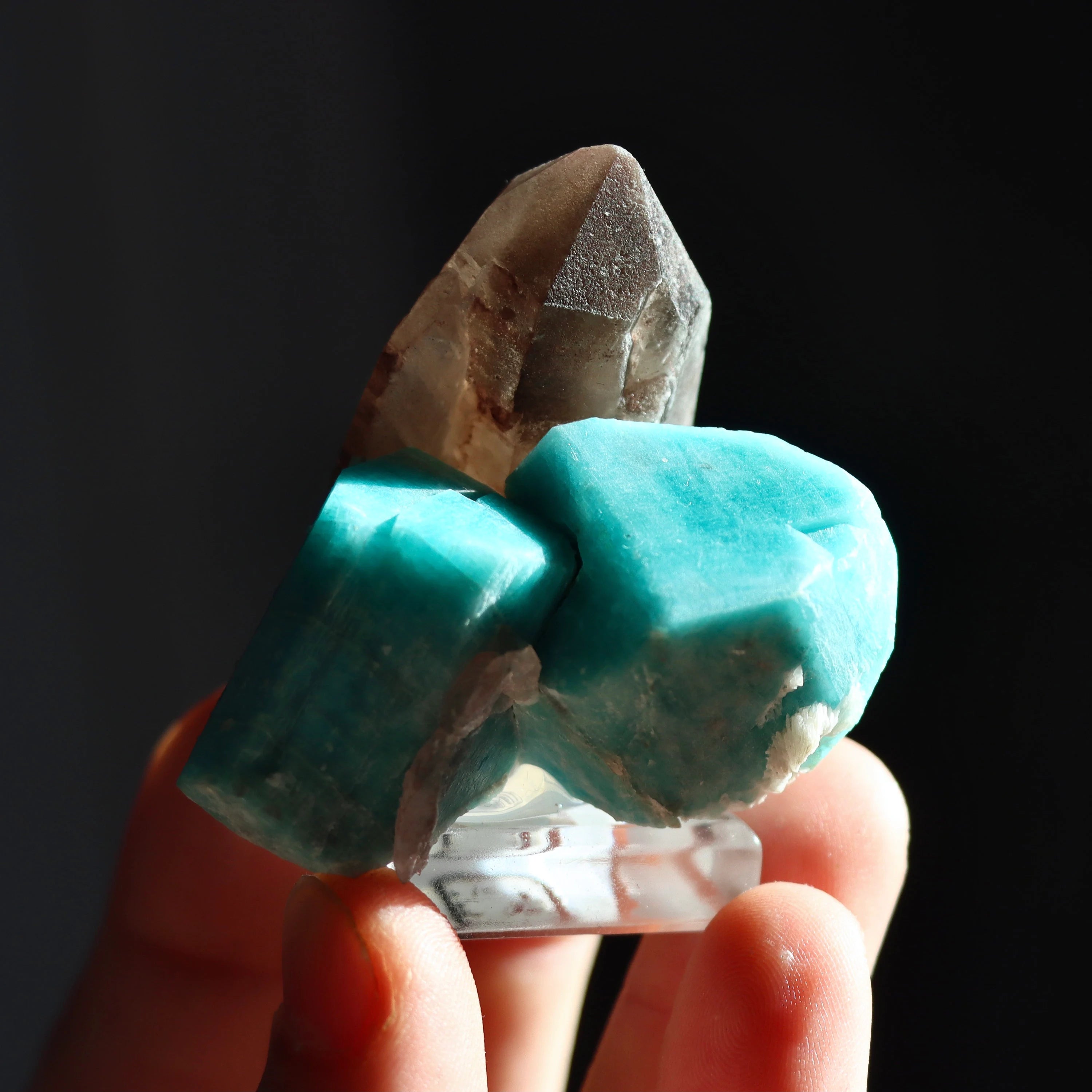 Colorado Smoky Quartz with Amazonite | Natural Smoky Quartz Crystal from Smoky Hawk Claim, Colorado, USA