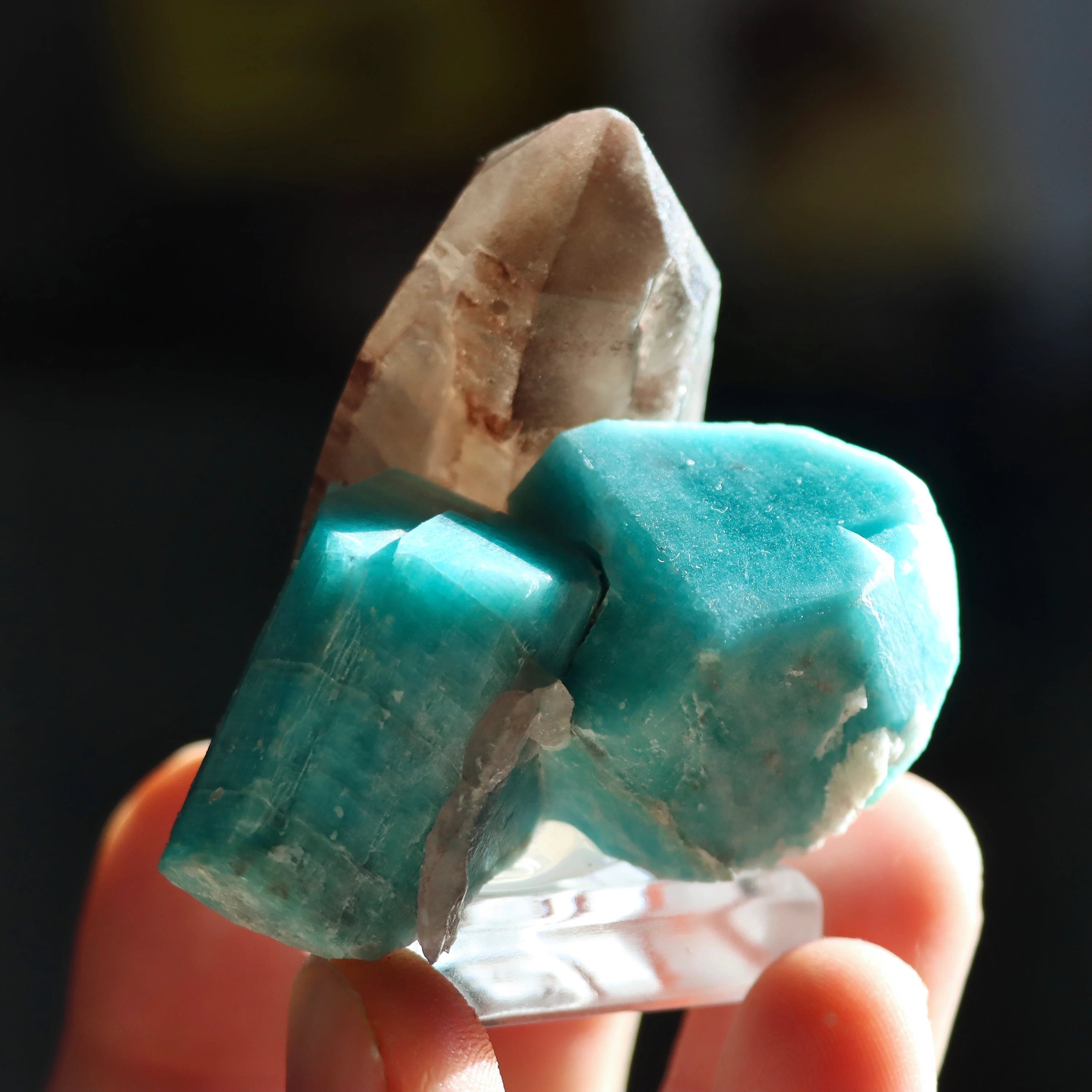 Colorado Smoky Quartz with Amazonite | Natural Smoky Quartz Crystal from Smoky Hawk Claim, Colorado, USA