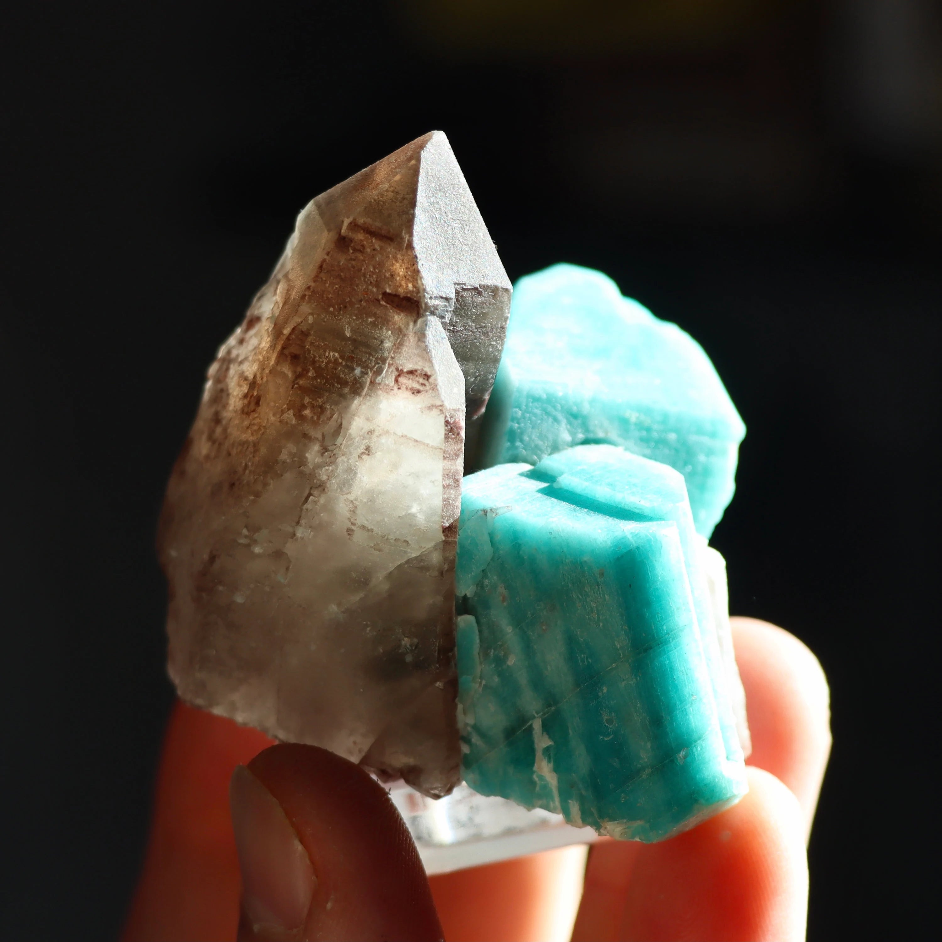 Colorado Smoky Quartz with Amazonite | Natural Smoky Quartz Crystal from Smoky Hawk Claim, Colorado, USA